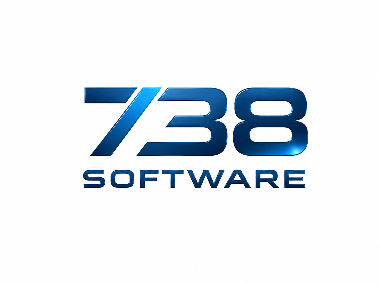 738Software light logo version